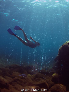 Snorkel through Champagne

volcanic vents create net cu... by Arun Madisetti 